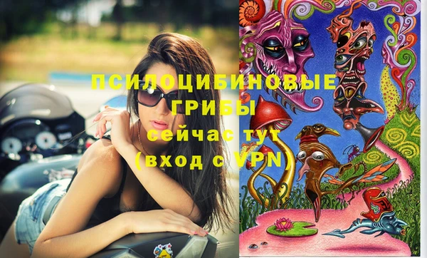 кокаин перу Вяземский