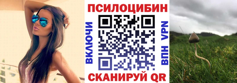 Купить где  Анива  Псилоцибиновые грибы ЛСД 