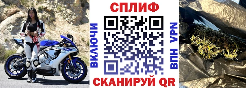 Купить Анива Бошки Шишки сатива